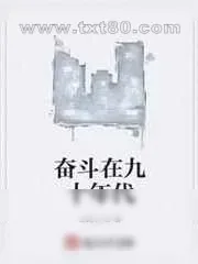 《奋斗在九十年代》小说封面