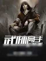 《武林高手在娱乐圈》小说封面