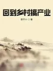 《回到乡村搞产业》小说封面
