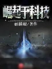 《崛起于科技》小说封面