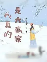 《我真的是大赢家》小说封面