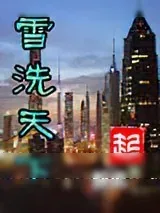 《雪洗天下》小说封面
