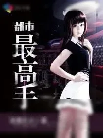 《都市最高手》小说封面