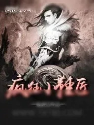 《疯狂小鞋匠》小说封面