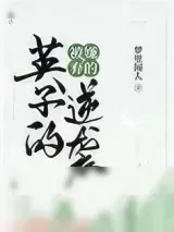 《被嫌弃的英子的逆袭》小说封面