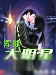 《浑球大明星》小说封面