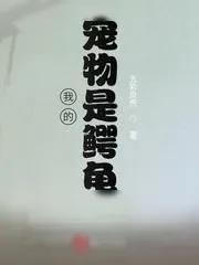《我的宠物是鳄龟》小说封面