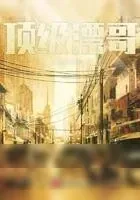 《顶级漂哥》小说封面