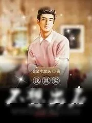 《我其实不想出名》小说封面