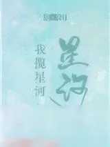 《我揽星河》小说封面