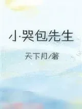 《小哭包先生》小说封面