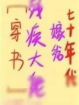 《七十年代嫁给残疾大佬》小说封面