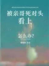 《被亲哥死对头看上怎么办》小说封面