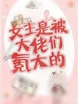 《女主是被大佬们氪大的》小说封面