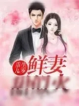 《重生九零：鲜妻甜似火》小说封面