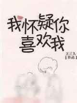 《我怀疑你喜欢我》小说封面