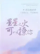 《星星之火，可以撩你》小说封面