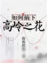 《如何摘下高岭之花》小说封面