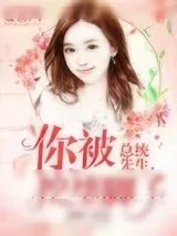 《傅先生，你被挖墙脚了！》小说封面