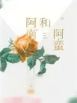 《阿南和阿蛮》小说封面