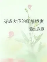 《穿成大佬的爬墙娇妻》小说封面