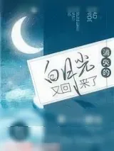 《消失的白月光又回来了》小说封面