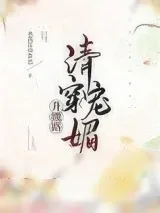 《清穿宠妃》小说封面