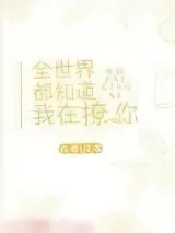 《全世界都知道我在撩你》小说封面