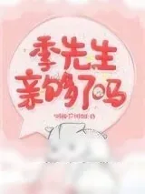 《季先生，亲够了吗》小说封面