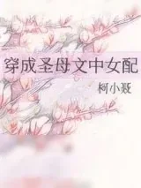 《穿成圣母文中女配》小说封面