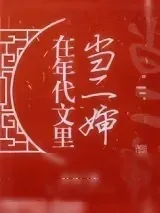 《在年代文里当二婶》小说封面