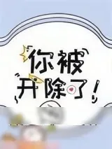 《你被开除了！》小说封面