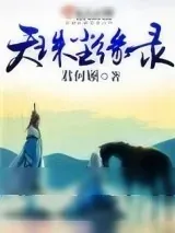 《天珠尘缘录》小说封面