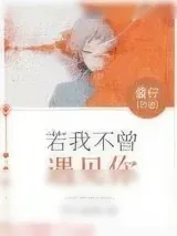 《若我不曾遇见你》小说封面
