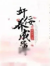 《奸佞养成簿》小说封面