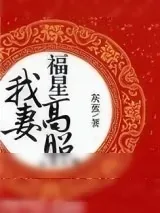 《我妻福星高照》小说封面