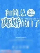 《和简总离婚的日子》小说封面