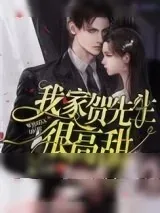 《我家贺先生很高甜》小说封面