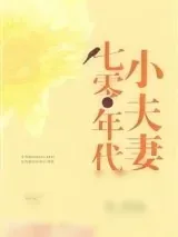 《七零年代小夫妻》小说封面