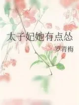 《太子妃她有点怂》小说封面