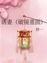 《诱妻（破镜重圆）》小说封面