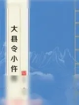 《大县令小仵作》小说封面