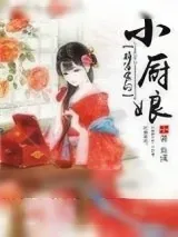 《将军家的小厨娘》小说封面