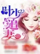 《花式甜宠：叶少追妻有点忙》小说封面