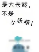 《是大长腿不是小妖精》小说封面