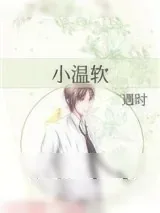 《小温软》小说封面