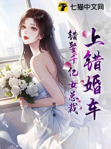 《上错婚车，错娶千亿女总裁》小说封面