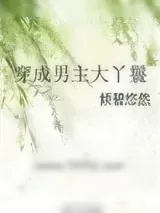 《穿成男主大丫鬟》小说封面