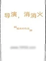 《导演，消消火》小说封面