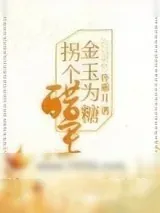 《金玉为糖，拐个醋王》小说封面